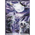 Animal Spirits magnet