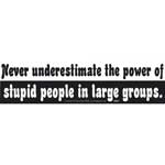 Never Underestimate the Power of Stupid People in Large Groups bumper sticker