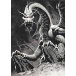 Black Dragon Greeting Card 6 pack