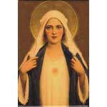 Immaculate Heart of Mary Magnet