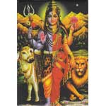 Shiva Shakti Magnet