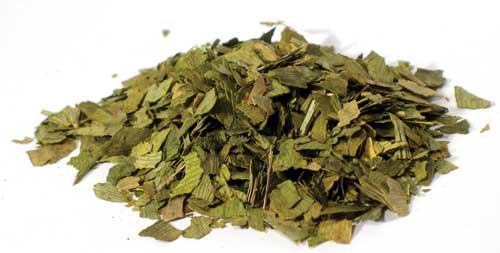 Ginkgo Leaf Cut 2oz (Ginko biloba)