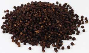 Grains of Paradise Seed 1oz