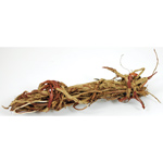 Maguey Root