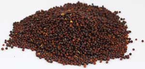 Brown Mustard Seed, whole 4oz