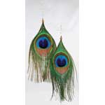 Peacock Feather Earrings