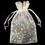 Large White Organza Pouch with Gold Stars