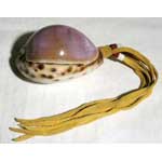 Cowrie Shell Rattle