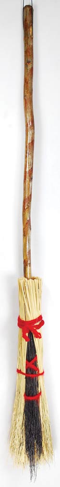 Teen Besom Broom