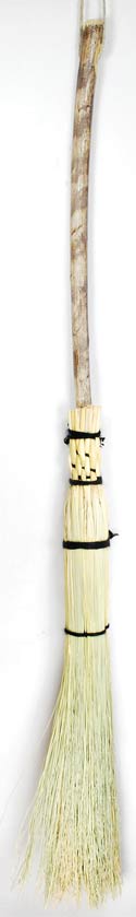 Yucca Cactus Handled Teen Besom