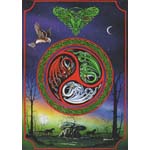 Celtic Shield Greeting Card 6 pack
