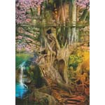 Dreaming Tree Greeting Card 6 pack