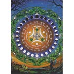Moon Calendar Greeting Card 6 pack