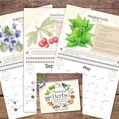 2026 Seasonal Herbs calendar