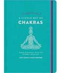 Little Bit Chakras journal guided journal