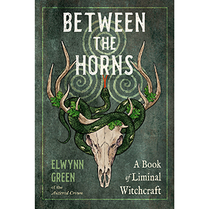 Between the Horns by Elwynn Green