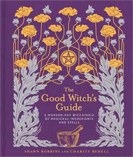 Good Witchs Guide by Robbins & Bedell