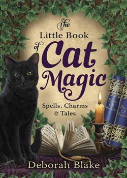 cat magic,cat bonding,magic,cat,cats,spells,