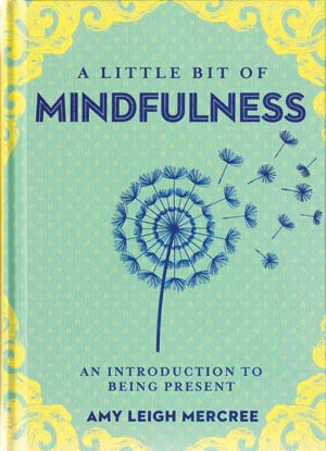 Little Bit of Mindfulness (hc) by Amy Leigh Mercree