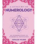 Little bit of Numerology (hc) by Novalee Wilder
