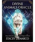 Oracle Decks & Reading Cards