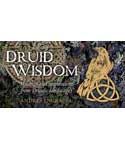 Druid Wisdom cards by Andres Engracia