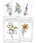 Hedgewitch Botanical oracle by Siolo Thompson