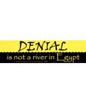 Denial Is Not A River In Egypt bumper sticker
