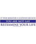 If your Behavior is Justified because You Are Not Gay Reexamine Your Life