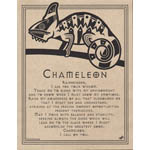 Chameleon Prayer poster