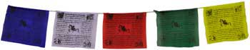 Tibetan prayer flag 3