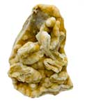 Specimens