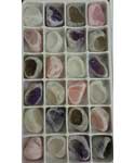 Flat of Mixed windowed (24/flat)