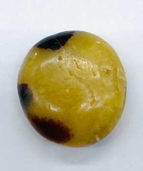 Jasper,Septarian palm stone