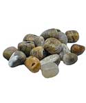 1 lb Agate, Dendritic tumbled