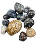 1 lb Agate, Enhydro tumbled