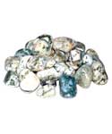 1 lb Agate, Tree tumbled stones