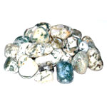 1 lb Agate, Tree tumbled stones