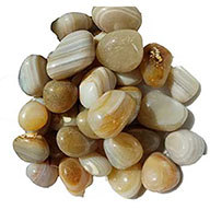 1 lb  Agate, Banded tumbled stones