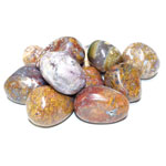 1 lb Moss Agate w/ Petrified Wood tumbled