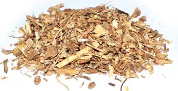 butchers broom repela rats butchers broom repela rats