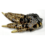Alligator Feet small