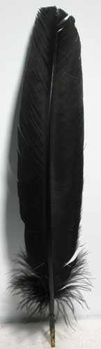 (set of 10) Black feather 12