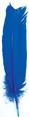 (set of 10) Blue feather 12