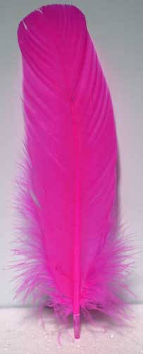 Pink feather 12