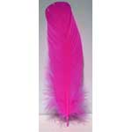 (set of 10) Pink feather 12