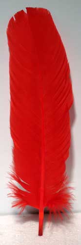 (set of 10) Red feather 12