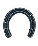 Good Luck Horseshoe