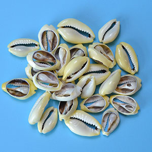 (set of 400) .5-1