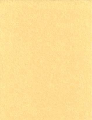 Light Parchment Paper 25 Pack  (8 1/2" x 11")
